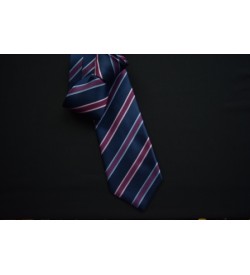 Blue with Pink/Purple Stripe Tie