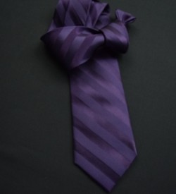 Dark Purple Self Stripe Tie