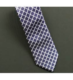 Navy w/Silver Checks Tie